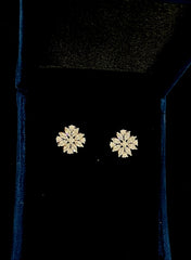 Earring Ea213 DIAMOND WHITE